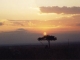 masai-mara-sunset