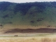 ngorongoro-crater-wall