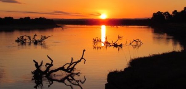 luangwa-river-sunset